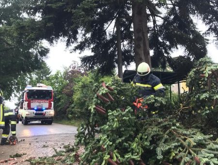 Sturmschaden in St. Pölten-Wagram: Feuerwehr hilft mit Motorsäge aus