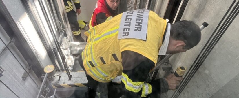 Spatz in Liftschacht geraten