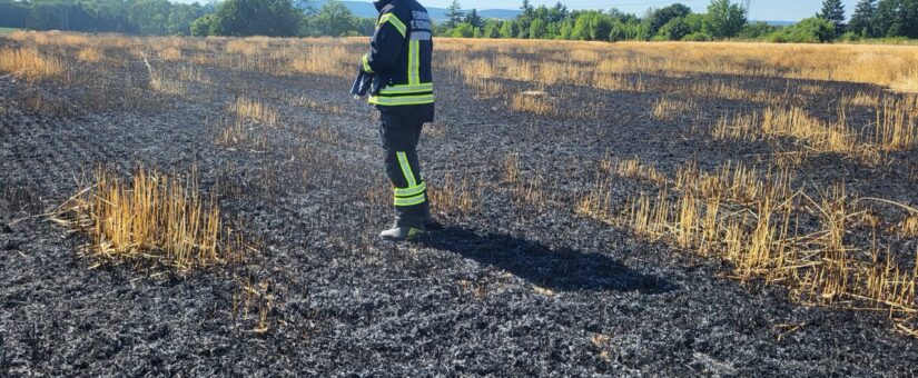 Feld in Witzendorf brannte – Feuerwehren schützen Bauernhof bei 34 Grad Außentemperatur