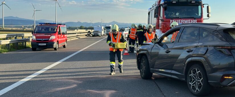 Doppeleinsatz auf S33: Starker Zusammenhalt der Landeshauptstadt-Feuerwehren