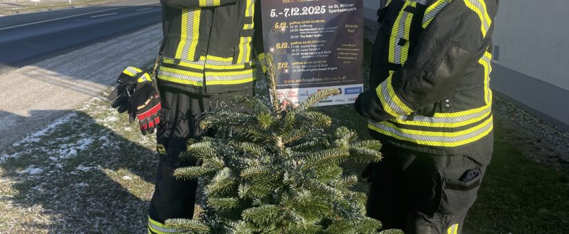 Weihnachtsbaum bei der FF St. Pölten-Wagram gepflanzt