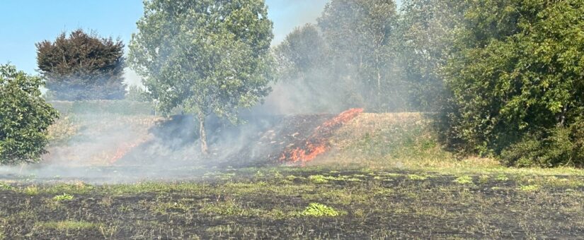 Flurbrand auf der Wagramer “Sonnwendwiese” – Wind sorgte für kurzfristige Gefahr